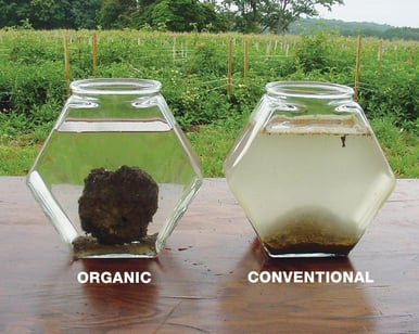 Organic and Conventional Soils from the Farming Systems Trial_Credit Rodale Institute